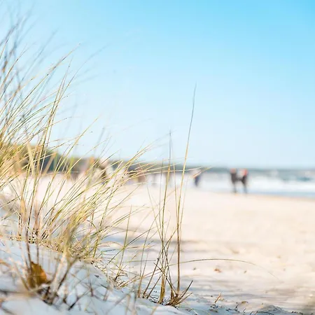 Duenenpark Whg 91 Nur 100 Meter Zum Strand! * Binz